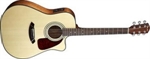 FENDER CD-140SCE NT